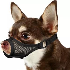 짧은 주둥이 작은 개들을 위한 메이어존 메쉬 치와와 요크셔 시즈를 조절 가능한 격렬한 짖는 소리를