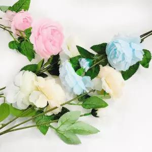 라넌큘러스 러넌큘러스 화분 성묘 조화 화동(특가)