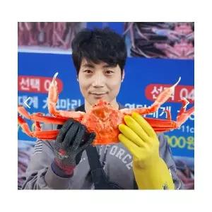 영덕대게 [선주직송] 대게 홍게 박달 자숙 영덕 수율보장 3kg