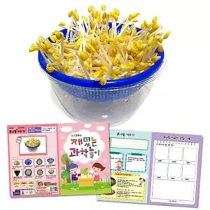 오너클랜 만들기대장 큰 그릇 콩나물 키우기 관찰기록지포함)- 큰그릇