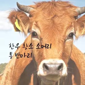 황소머리 통반마리 토종한우 소부산물 냉동