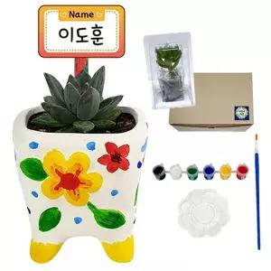 [하프클럽/알티피아]만들기대장 다육식물 입체화분 물감세트식물보호케이스포함