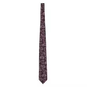 Etro 페이즐리 프린트 넥타이 MASA0001AQ005 S9875 TP948105860
