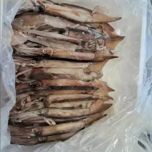 신진항오징어 동해안 냉동 국산오징어 (3kg 전후, 20미)
