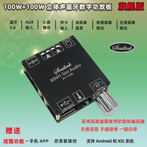 XY-C100L 스테레오 오디오 모듈 서브우퍼 앰프 보드 블루투스 5.0 듀얼 채널 360 도 무단 튜닝 100W x 2