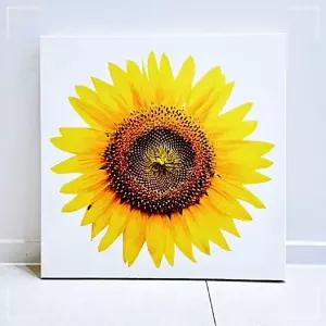 IOWEE595A 그림 들어오는 꽃송이 사진 액자 인테리어 해바라기 큰