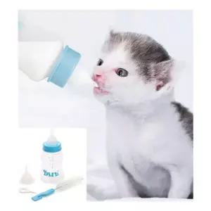 애완동물젖병 반려동물 고양이 강아지 젖병 애완동물 세트 150ml
