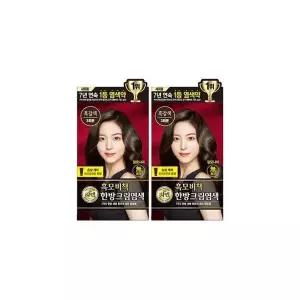 [셀러허브]리엔 흑모비책 크림 염색 흑갈색 x 2개 (S50911128)