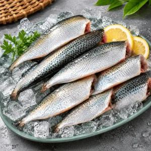 국내 전어 세코시용 1kg 2kg 손질 전어회