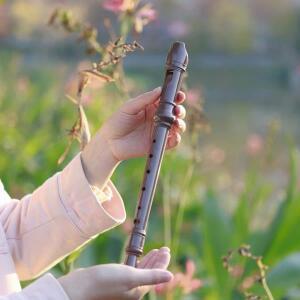 8홀 플루트 수지 뮤지컬 Flauta 악기 레코더 긴 단자문 목 청소 스틱이포함 어린이 선물