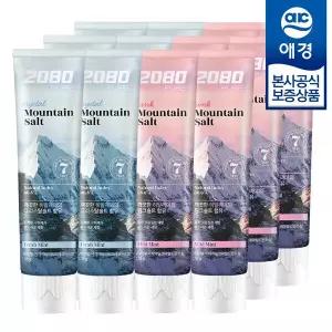 비밀 2080 퓨어 솔트 치약 120g x12개
