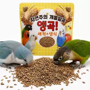 앵무새 간식 세척 볶음 알곡 사료 100g 먹이 간식 기장 조 들깨 씨드 홍화씨 해바라기씨