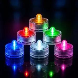 마리모 LED 미니조명 DIY 소형전구 식물