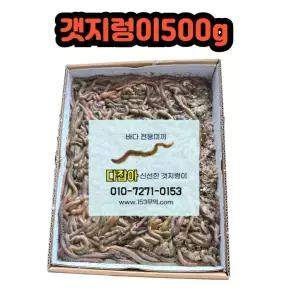 생물 갯지렁이 청개비 500g 낚시 미끼