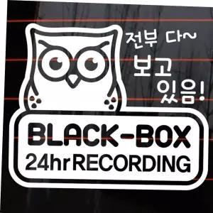 babyonboard 자동차 주유구 차량용 스티커_부엉이블랙박스녹화중01