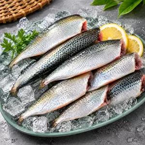 [산해직송]전어 세코시 600g (초고추장 증정)