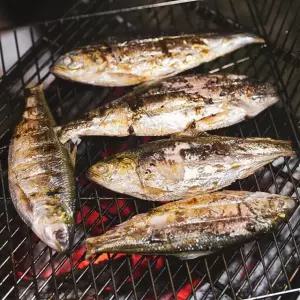 [산해직송] 자연산 전어 구이용 500g 가을 급냉 구이