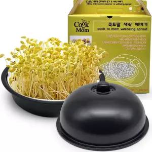 어린이집 (국내생산) 콩나물재배기 새싹키우기 유치원