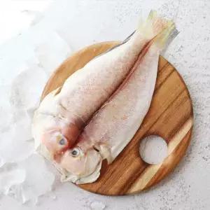 [산지직송] 제주 간편 손질옥돔(대) 8마리