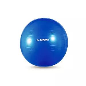 짐볼 55cm 펌프 블루 공 볼 요가 용품