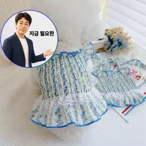 지금 필요한 펫용품 애견 반려동물 플라워 여름옷 강아 치마 원피스+머리핀