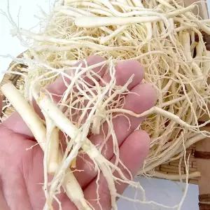 미삼 인삼잔뿌리 생미삼 뿌리파삼 세척 500g