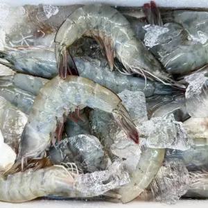제철 국산 대하 왕새우 흰다리 자연산 급냉 1kg 2kg