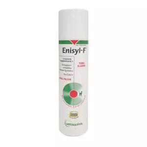 베토퀴놀 엘라이신 캣전용 영양제 100ml
