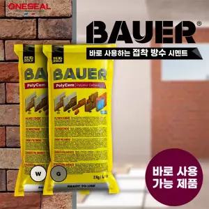 원씰 바우어 시멘트2kg 짜서 바로 쓰는 간편 시멘트 고강도 접착 방수 셀프 보수 