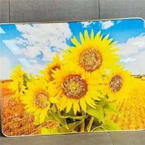 해바라기 그림 액자 30x40 소형 해바라기 액자 황금 풍수지리 거실 사무실 개업 알루미늄