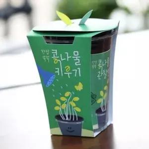 어린이 새싹 재배 키트 가족 식물 키우기 키트 씨앗 성장