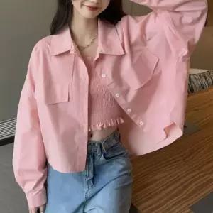 카라셔츠 셔츠 레이어드 뒷트임 세미크롭 포인트