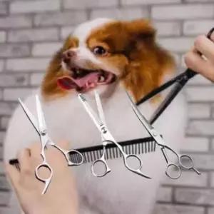 안전가위 강아지 미용 가위 고양이 반려동물 미용 가위 애완 애견