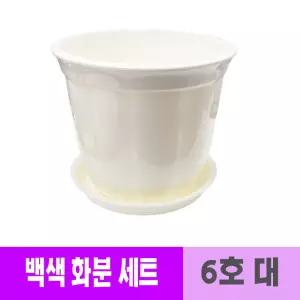 플라스틱 원형 백색 화분 세트 받침대포함 6호 분갈이 도자기느낌 플분 흰색 둥근