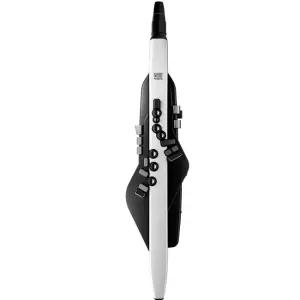ROLAND AE-20 (Aerophone) 에어로폰 전자색소폰+필수 액세서리