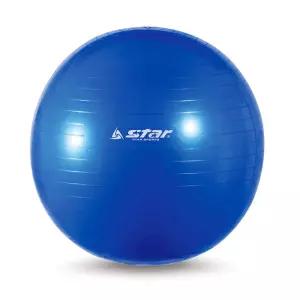 짐볼 55cm 스타스포츠 블루 EB240-07
