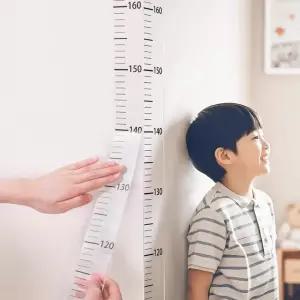 키재기 키측정 스티커 눈금자 DD-13194 200cm 시트지