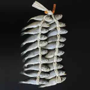 법성포 영광굴비 2kg (20미/20-22cm)