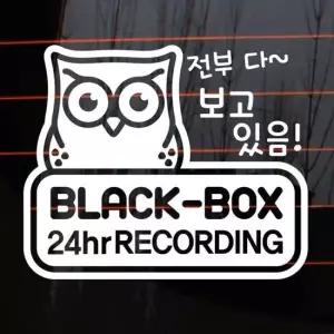 자동차 주유구 차량용 스티커_부엉이블랙박스녹화중01