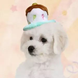 보따리라운지 강아지 미니 생일케익 머리띠 민트 고양이생일파티모자