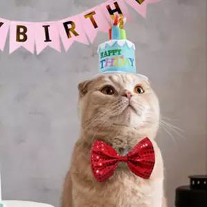 보따리라운지 강아지 생일초 머리띠 소 블루 강아지생일파티용품