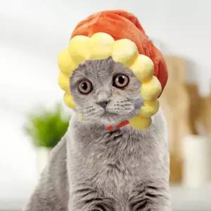 보따리라운지 강아지 고양이 해바라기 모자 반려동물굿즈