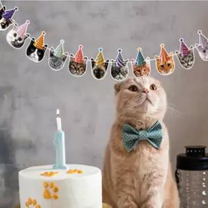 보따리라운지 생일 고양이 가랜드 고양이생일파티