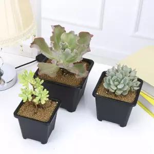 사각 다육이 화분 14X14CM 플라스틱 미니 선인장 베란다 홈가드닝 분갈이용