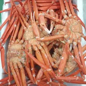 빠른배송 1.8kg 대게가격 대게살 영덕 국내산 대게 프리미엄 당일조업산지직송 서치B