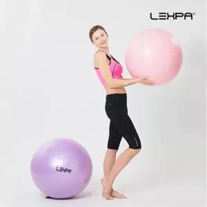 렉스파 YH-08 65cm 짐볼 피트니스볼