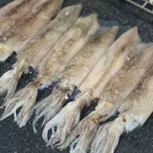 미국산 급냉 한치 500g 11-18미 냉동한치 통 한치 통찜 용한치 초코한치 화살오징어 창 오징어 한치