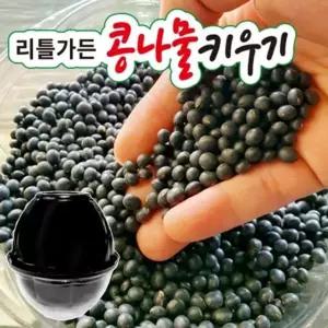 리틀가든 리틀가든재배키트 가정용재배도구 콩나물키우기세트