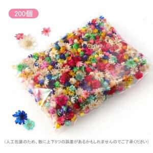 장식 개들이 플라워 컬러 DIY 재료 드라이 누름 200 천연 스타 GOODCHI 꽃잎 수제 다크 작은 심플