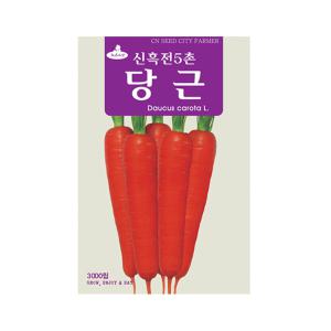 모두다 청농 채소씨 당근씨 씨앗 신흑전5촌(3000립)